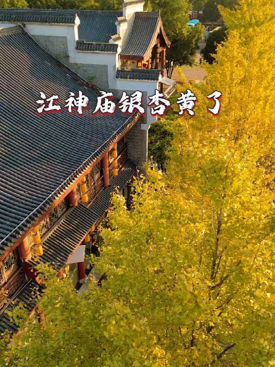 �Lɳ�΄e���h(yu��n)�������޽���R�F(xi��n)������ĺѩ�Ļ��@�y�������S���Fֱ�_(d��)߀���A(y��)�s�Lɳ���������y���S���p��